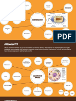 Cópia de Orange and Brown Bubble Map Chart