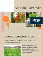 HIDROPONIK PPT Edited