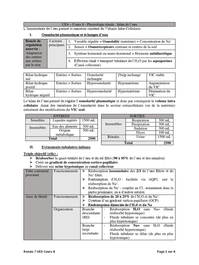 Gradient corticopapillaire et osmolarité PDF Anatomie humaine — free download