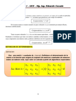 Clase Consulta Determinantes