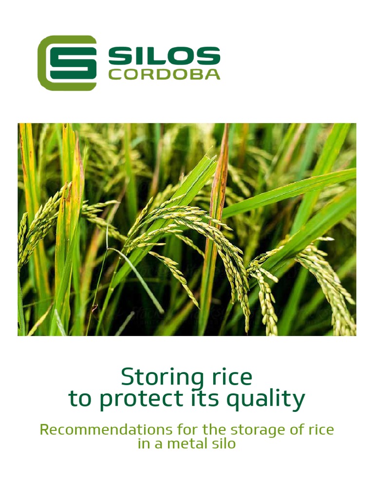 Rice Storage in Metal Silos | PDF | Rice | Postharvest