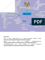 Mapa Mental Ambiente Preparado en El Método Montessori
