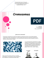 Genesis Quevedo C I 30301157 Cromosomas