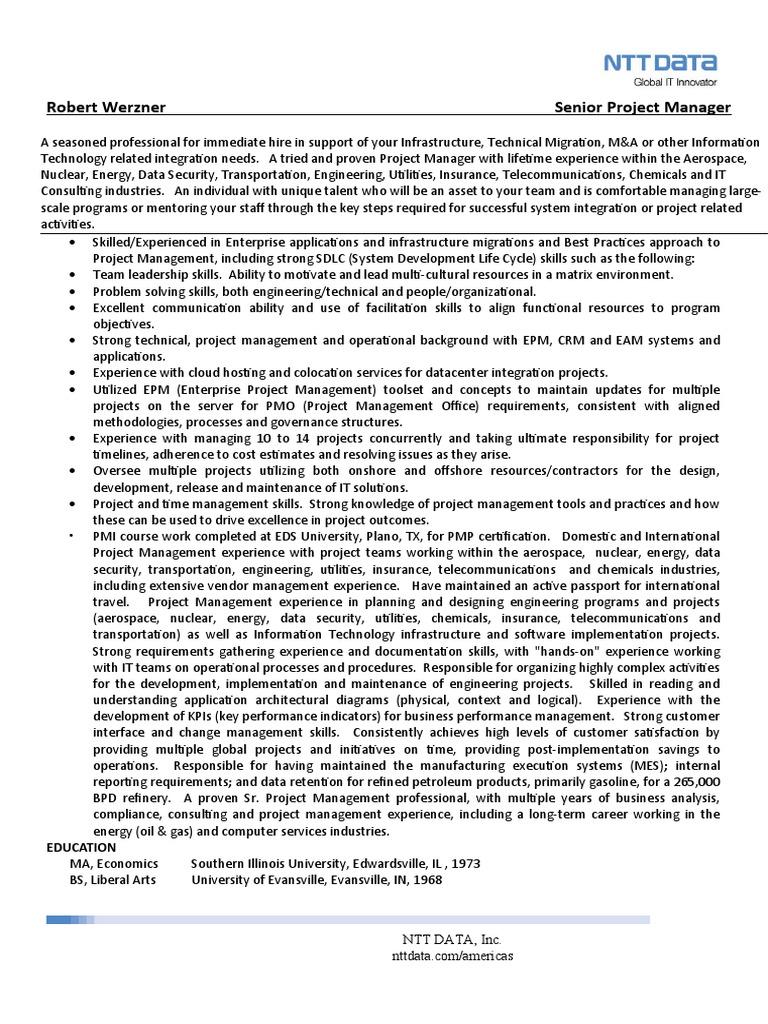 Senior Project Manager Profile | PDF | Project Management | Server ...