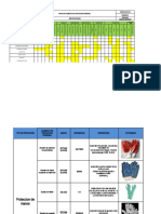 Matriz de Epp