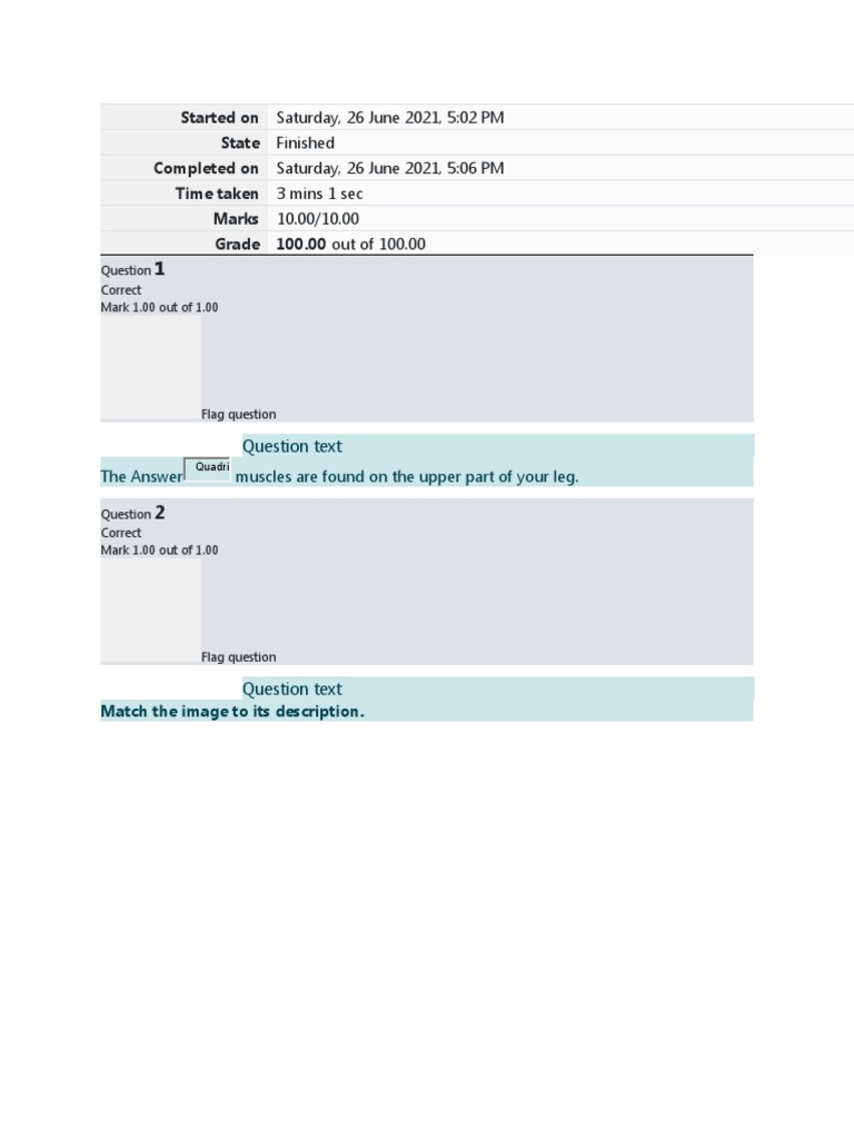 Team Sports Quiz 5 PDF Athletic Sports Team Sports