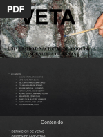Definición y Tipos de Vetas Minerales | PDF | Minerales | Roca (geología)