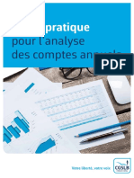 Guide Pratique Analyse Comptes Annuels 0