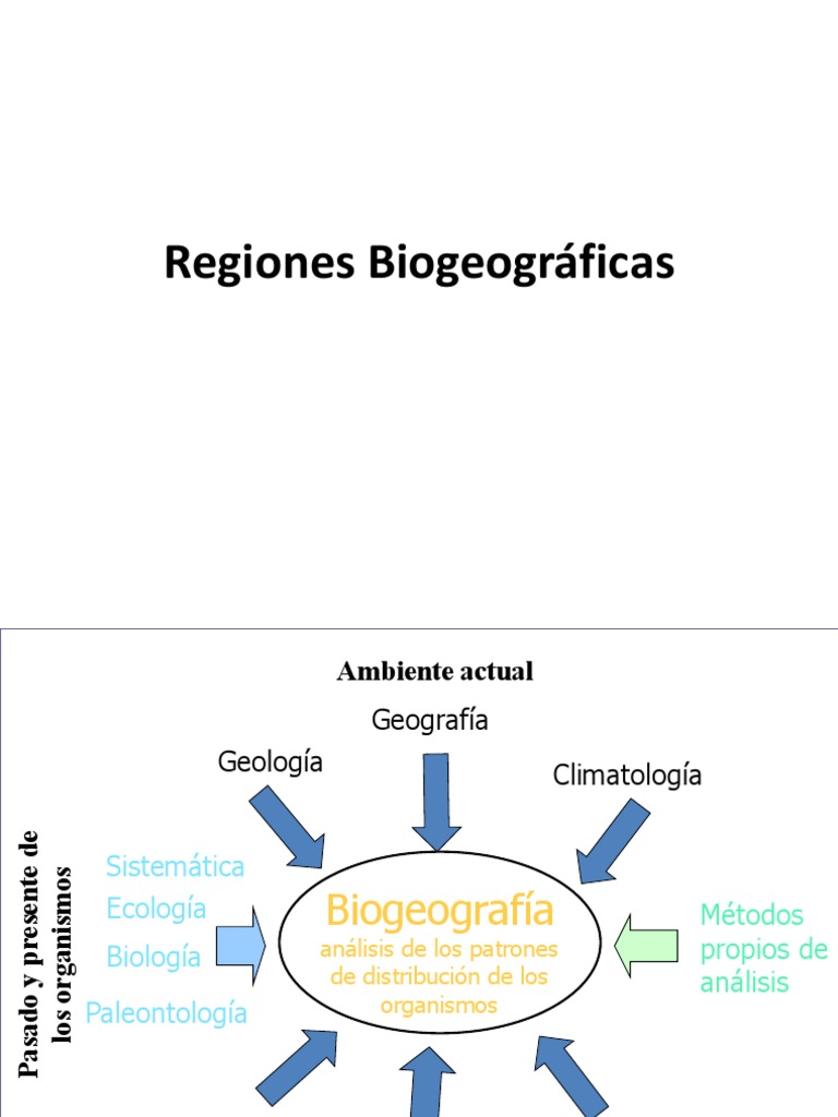 Regiones Biogeograficas | PDF | Biogeografia | Perú