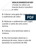 Preparo da lâmina de sedimento fecal para identificação de parasitas