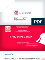 17 PPT Cancer de Cervix