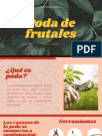 Poda de Frutales (3) - Compressed