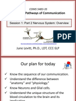 Neuronal Pathways of Communication: COMS 5483-35