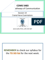 S14-CN Exam - REVIEW For FINAL-F20-BB-1202