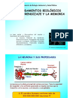 3-LA-NEURONA-1