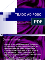 Tejido Adiposo