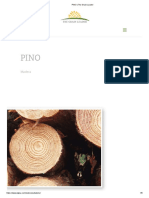 PINO - The Grain Leader Especificaciones Exportación