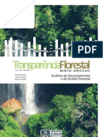 Transparência Florestal Ano II N 2 2008-2009