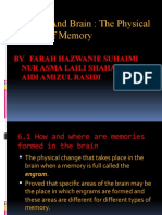 Memory and Brain: The Physical Aspects of Memory