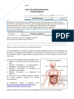 5° Básico Ciencias Naturales Guía 7 Valeria Bravo