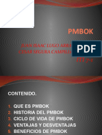 pmbok