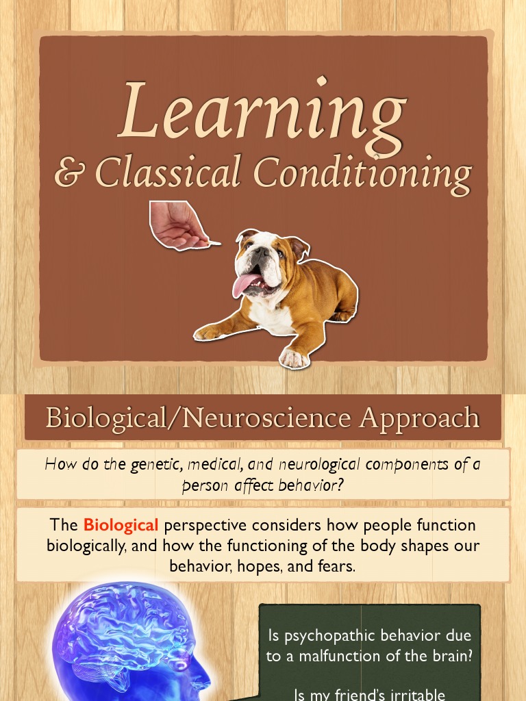 Learning: & Classical Conditioning | PDF | Classical Conditioning ...