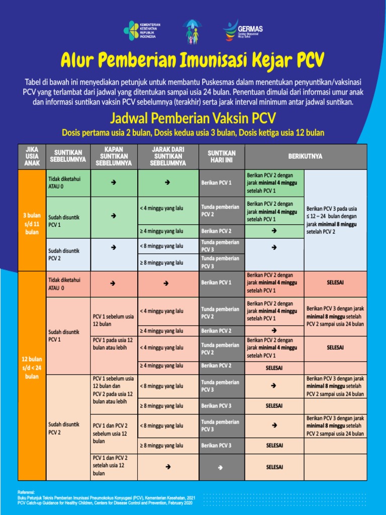 Alur Imunisasi Kejar PCV PDF