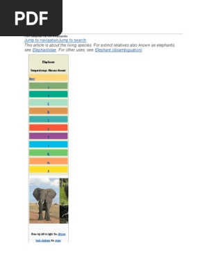 Elephant
