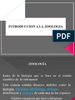 Introduccion Zoologia 2020