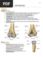Signo de Froment y su Evaluación Clínica | PDF | Anatomía humana ...