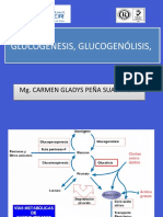 Clase 11 GLUCOGENESIS, GLUCOGENOLISIS