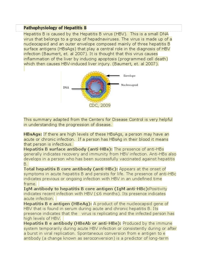 124643330 Pathophysiology of Hepatitis B | PDF