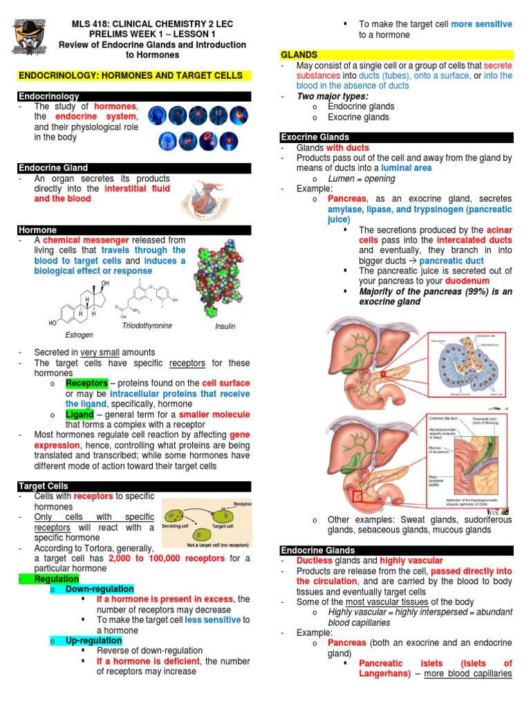 Cc 2 Lec Compre Pdf Hormone Pancreas