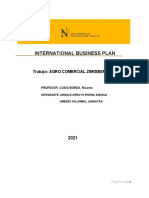 International Business Plan1