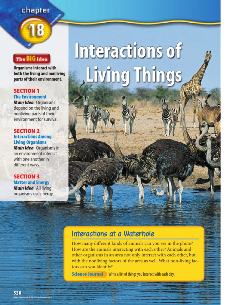 Glencoe Science Text PDF Atmosphere Of Earth Natural Environment