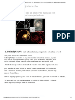 E Oro en El Cuerpo Humano Con Efectos Anti-Envejecimiento