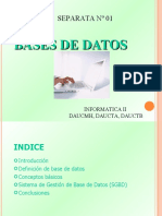 Separata - N2 - BD - Informatica Ii