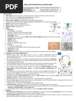 Oral and Intestinal Flagellates