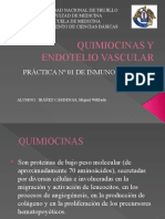 Quimiocinas y Endotelio Vascular_mic