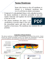 01 Cell Membrane