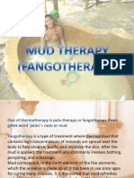 Mudtherapy 120914095550 Phpapp02