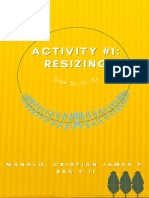 IT - Activity 1 (Resizing)