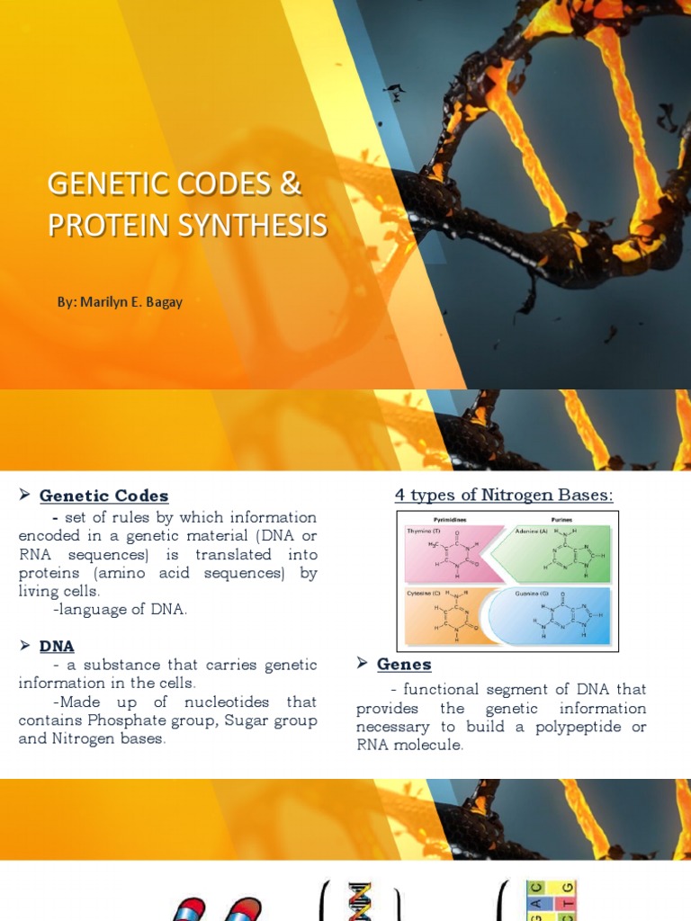This Tiny Code Controls Everything The Protein Synthesis Secret - npjy2sw