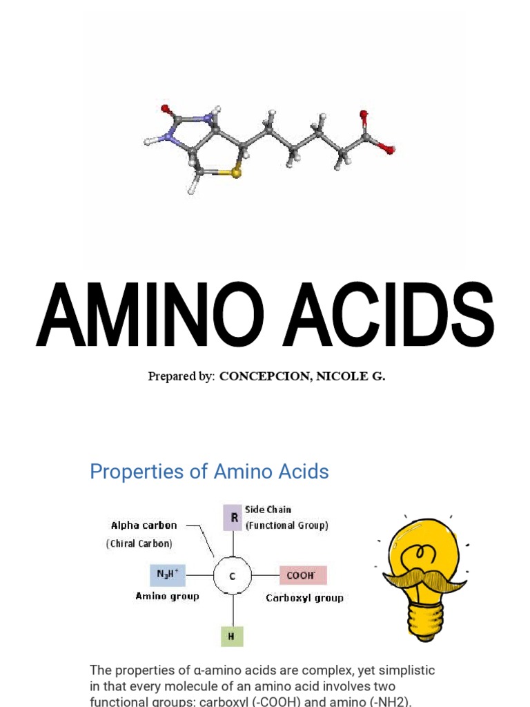 Amino Acids Biochem Report PDF Amino Acid Biosynthesis