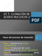 Ut 7. Clonacion de Acidos Nucleicos 2