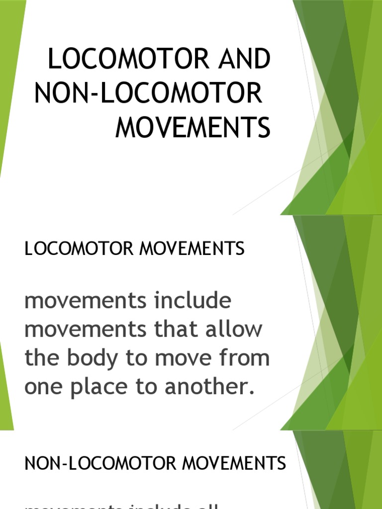 and Movements PDF Animal