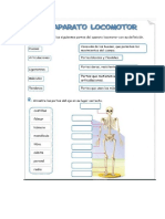 Repaso Del Sistema Osteo-Artro Muscular