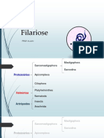 Filariose Linfática: Sintomas, Tratamento e Controle