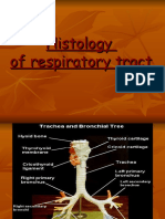 Histology of Repiratory Tract