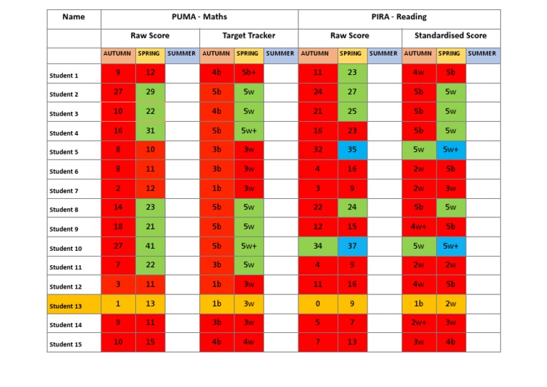 PUMA Maths Assessment Year 5 Scores | PDF